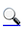 Search Icon